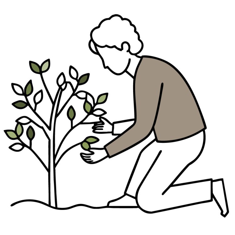 Therapist providing child and teen counseling services for anxiety, emotional regulation, and school-related issues at Olive Tree Counseling in Frederick, MD